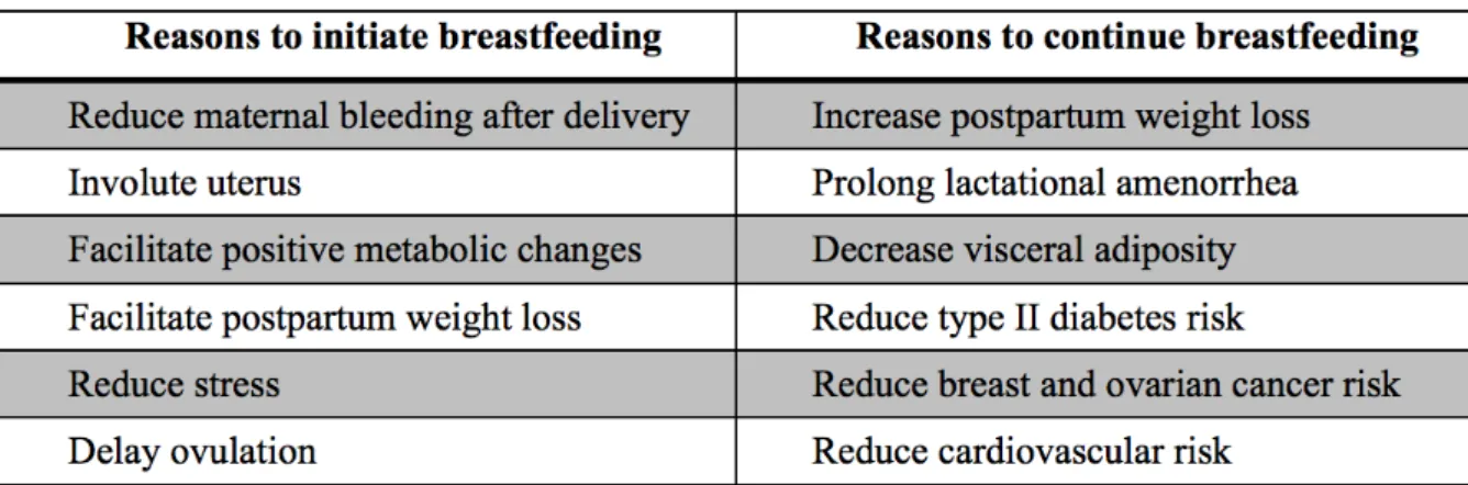 Figure 10 Dieterich et al, 2013 : bénéfice de l'allaitement sur la santé maternelle 