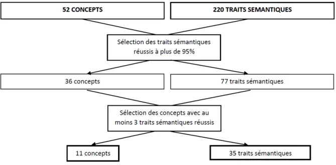 FIGURE 7 : SELECTION DES CONCEPTS ET DES TRAITS SEMANTIQUES FINAUX 