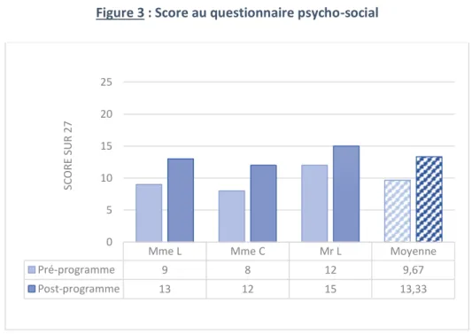Figure 3 : Score au questionnaire psycho-social
