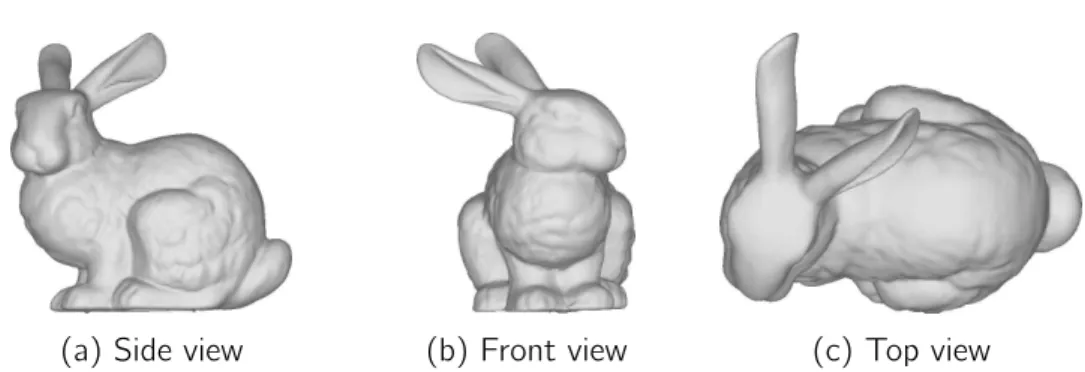 Figure II.9. – Meshed representation of the zero level set of an implicit function defined from the Stanford bunny point cloud.