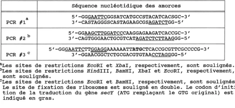 Tableau  2.  Séquences  des  amorces  utilisées  dans  les  différents  PCR. 