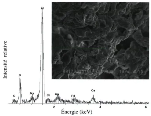 Figure 28 - Image MEB et analyse EDS des fibres de la solution PVP/Alum2-4_l calcinées à  un taux de 2,11 °C/min jusqu'à 600°C 
