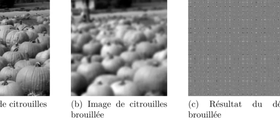 Figure 1.9 – Exemple typique où appliquer une méthode naïve sur un problème avec un mauvais conditionnement produit un résultat exécrable