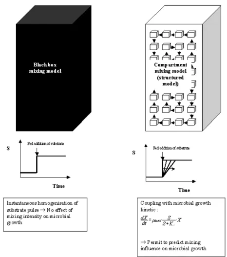 Figure  1  :  comparison  of  an  hydrodynamic  black  box  (unstructured)  model  with  a  structured  network-of-zones  model