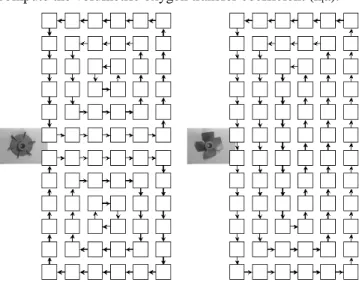Figure  2  :  distinction  between  a  radial  flow  pattern  (left)  induced  by  a  rushton  turbine and an axial flow pattern (right) induced by an A315 hydrofoil