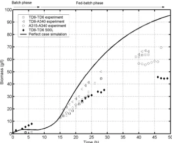 Figure 5 : microbial growth curves obtained during fermentation runs at 20L and  500L scales and comparison with theoretical growth curve