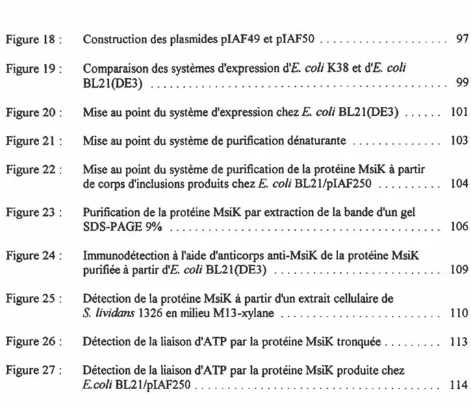 Figure  18  :  Construction des plasnùdes piAF49 et piAFSO  . . . . . . . . . . . . . 