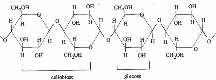 Figure 3 :  La  structure de la cellulose 
