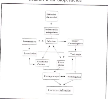 Figure  n&#34;  I -  Etapes  nécessaires  à la commercia- commercia-lisation  d'un  biopesticide