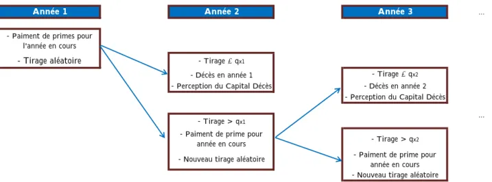 Figure 3.3 – Simulation du décès de l’assuré dans la méthode stochastique