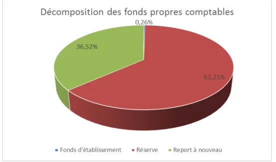 Figure 16 : Décomposition des fonds propres comptables 