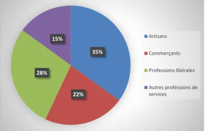Figure 2 : Structure du marché des professionnels en France – Source : INSEE (2010) 