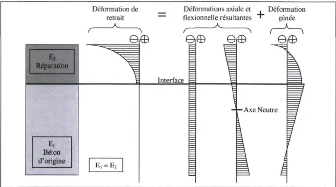 Figure 1.16 - Schéma des composantes déformationnelles dans un élément composite  dont les matériaux sont de rigidités identiques (d'après Bissonnette 1996) 
