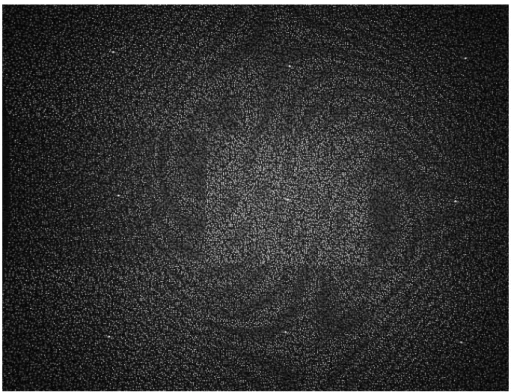 Figure 2 – Mire émise par la Kinect telle que perçue par la caméra infrarouge.