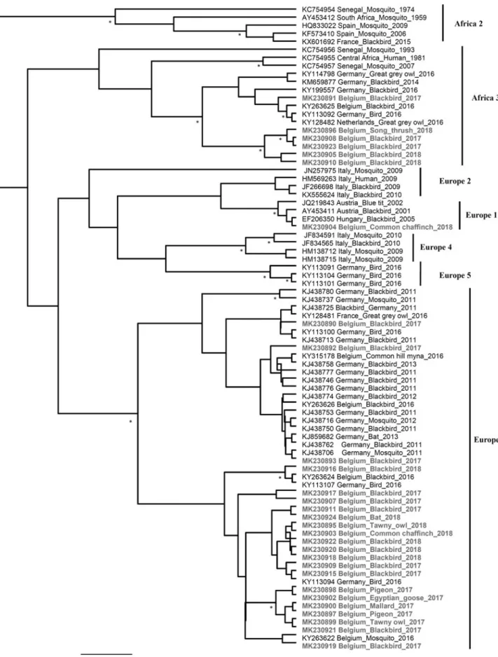 FIG. 5. Phylogenetic tree of USUV variants circulating in wild birds and bats, Belgium, 2017–2018
