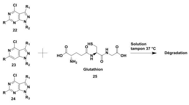Figure 19. Étude de la dégradation entre les composés 22, 23 et 24 et le glutathion 
