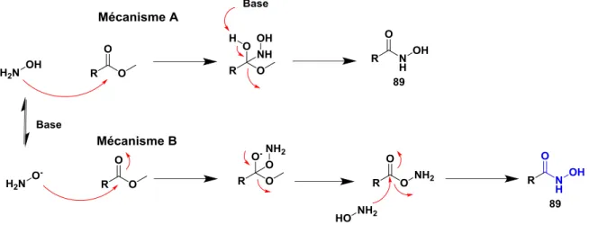 Figure 34). La conversion de O-acylhydroxylamine en acide hydroxamique a été décrite par  Shi et al
