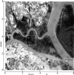 FIGURE 2 Composition colorée sur les images XS.