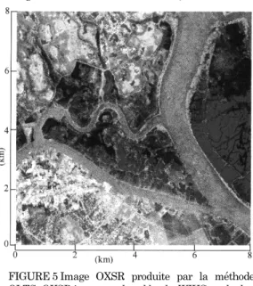 FIGURE 5 Image  OXSR  produite  par  la  méthode OLTS. OXSR image produced by the WIHS method.