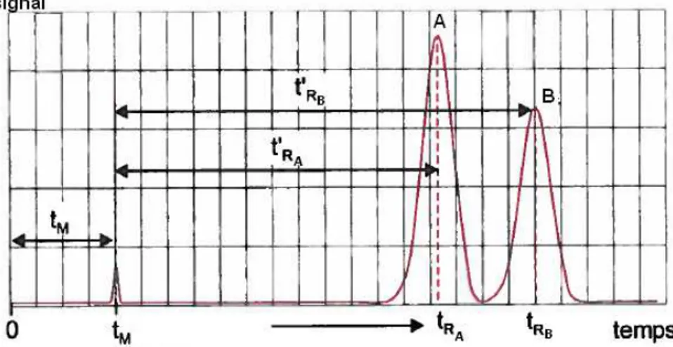 Figure 1 : Représentation sur un chromatogramme des notions de temps mort t M , temps de rétention t R  et temps  de rétention relatif t ’ R  d’un pic