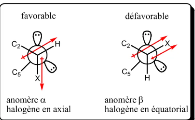 Figure 4 : Origine de l’effet anomère décrit à l’aide des moments dipolaires. 