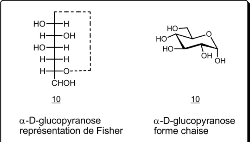 Figure 9 : Différentes représentation de l’ α - D -glucopyranose. 