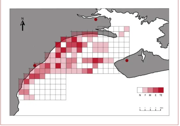 Figure 6 : Carte de la baie de San Antonio divisée en cellules d’1km 2 . Chaque cellule est colorée en  fonction de son indice d’utilisation IU calculé pour la période du 20 janvier au premier mai 2011