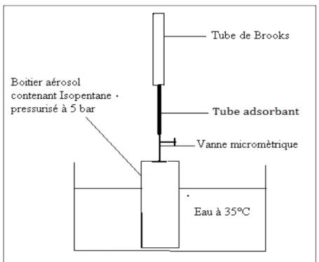 Figure 32: Schéma du montage pour le prélèvement sur tube adsorbant