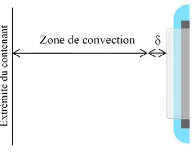 Figure 17 : Illustration des couches de diffusion (δ) et de la zone de convection à l’interface liquide-solide 