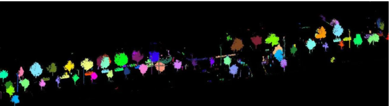Figure 9 : Nuage de points segmenté [TerraScan] 