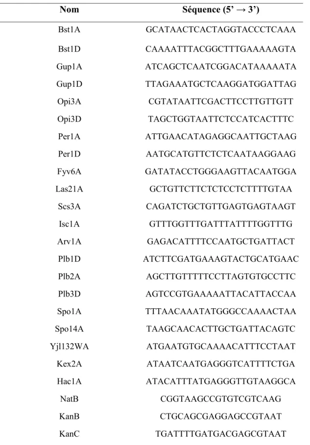 Tableau IV : Amorces employées pour amplifier les fragments utilisés pour la  délétion génique et pour la vérification de délétions 