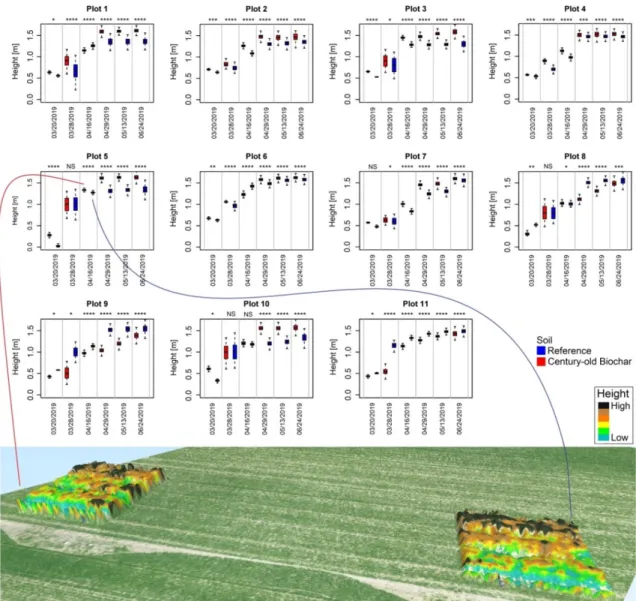 Figure 6. Box plot visualization of winter wheat height development for the 11 experimental pairs of  century-old biochar versus reference plots