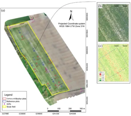 Figure 1. (a) A schematic layout of the experimental pairs (reference versus century-old biochar plots)  in the winter wheat field and distribution of the ground control points
