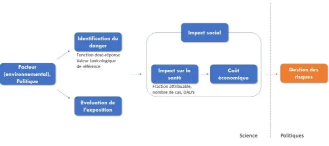 Figure 1 : Processus de gestion des risques dans les études d'impact sur la santé 