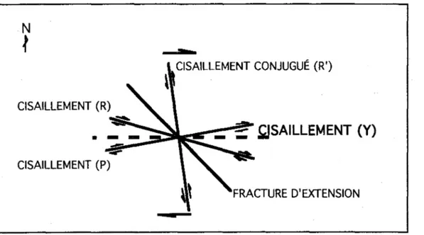Figure  4:  Modèle théorique d'un  zone  de cisaillement  en  décrochement (modifiée de Tchalenko et Ambraseys,  1970) 