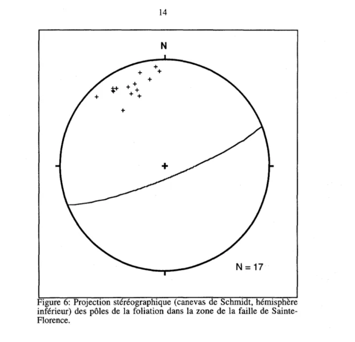 Figure 6:  Projection  stéréographique  (canevas  de  Schmidt, hémisphère  inférieur)  des  pôles  de  la foliation  dans  la zone  de  la faille  de   Sainte-Florence