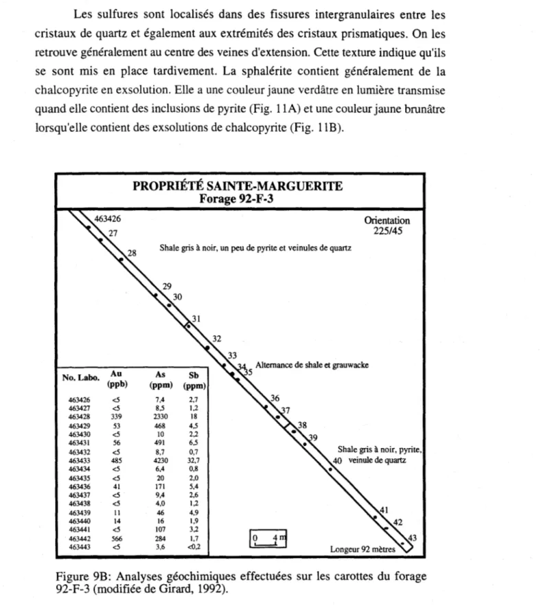 Figure  9B:  Analyses  géochirniques  effectuées  sur  les  carottes  du  forage  92-F-3 (modifiée de Girard,  1992)