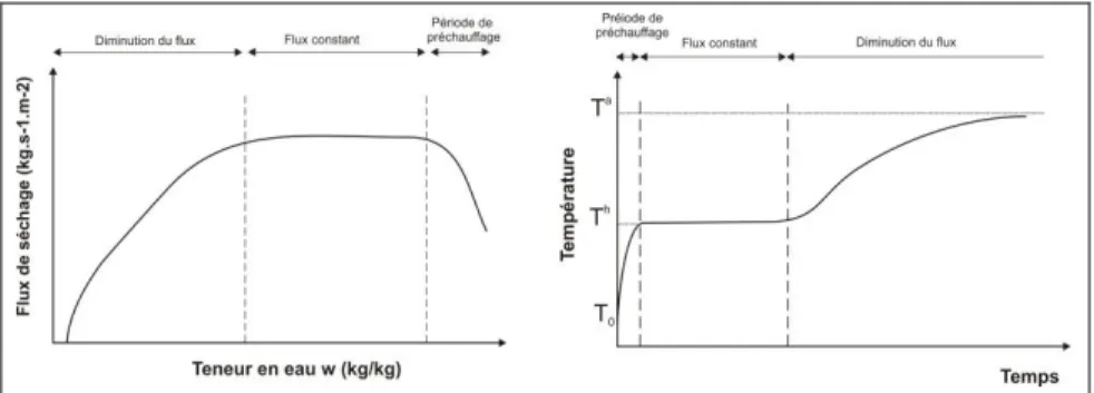 Figure 1. Courbe de séchage et évolution temporelle de la température en surface  Ces  courbes  de  séchage  sont  analysées  avec  l’hypothèse  de  l’existence  d’une  couche  limite  en  paroi  d’échantillon,  qui  contrôle  les  échanges  de  vapeur  et