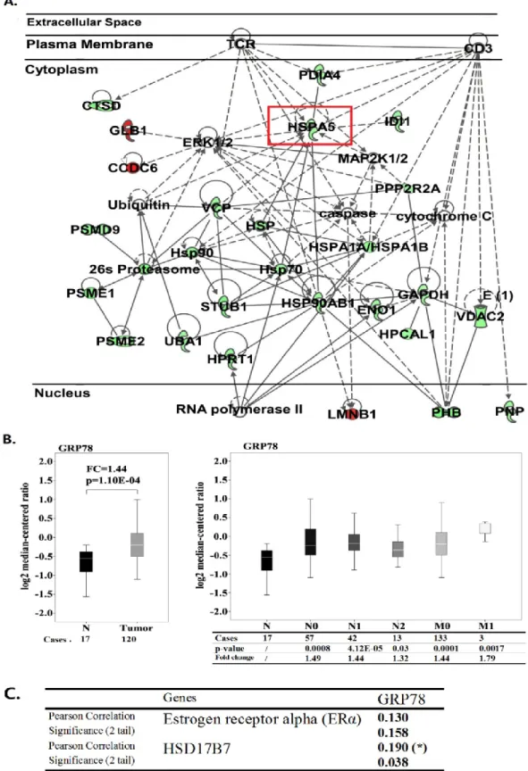 Figure 4 Functional analysis of proteomic data of 17β-HSD7 inhibition in MCF-7  cells  