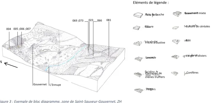 Figure 3 : Exemple de bloc diagramme, zone de Saint-Sauveur-Gouvernet, ZH 