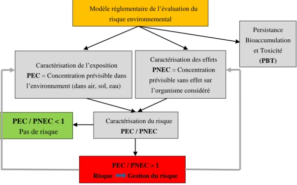 Figure 5 : Illustration du modèle règlementaire de l’évaluation du risque environnemental  (Rivière, 2010) 