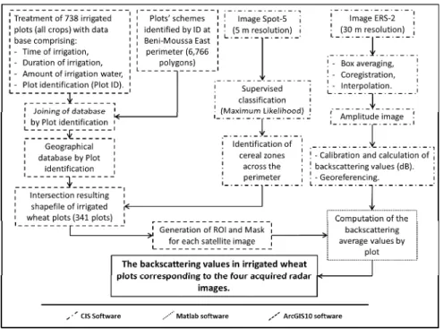 Figure 14: Schematic diagram illustrating field data and SAR data processing 
