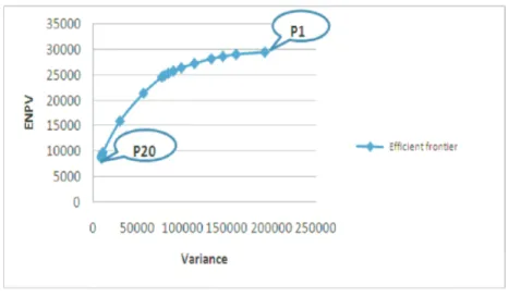 Figure 4: Efficient frontier for a price of $200/barrel 4.1.4 Scenario 4 (average price):