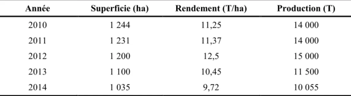Tableau 4: Evolution des superficies, des rendements et de la production de la tomate au  Burkina Faso (FAOSTAT, 2017a) 