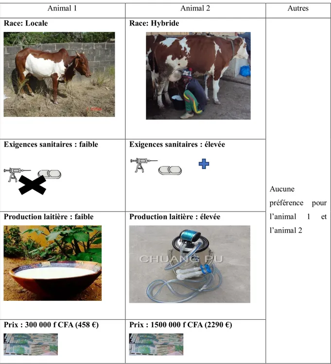 Figure 15. Exemple de scenario de paire de choix 