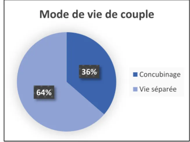 Figure 12 : Mode de vie de couple 