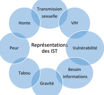 Figure 13 : Représentations des IST 