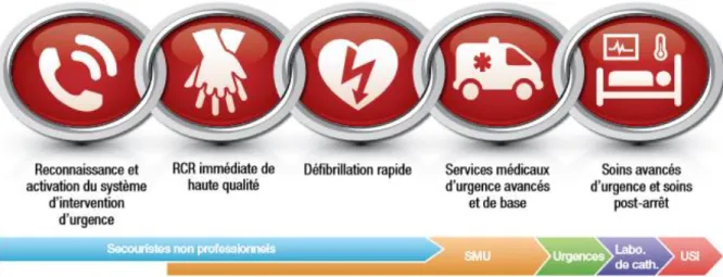 Figure 1 : Chaine de survie de l’arrêt cardio respiratoire. 