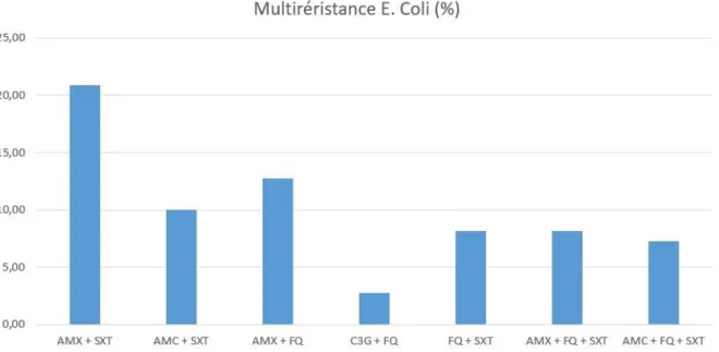 Figure 14 : Multirésistance d’E. Coli aux différentes classes d’antibiotiques ( % ) 