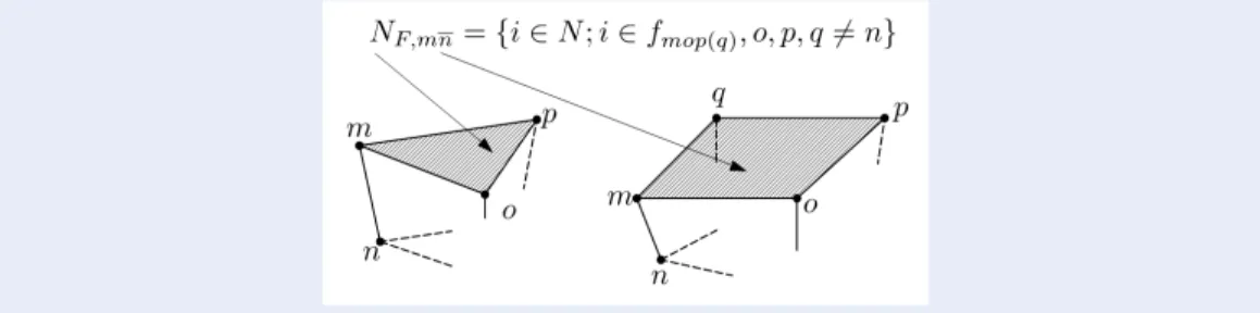 Figure 1: Definition of the facet associated with notationN F,j,i − .